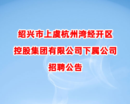 绍兴市上虞杭州湾经开区控股集团有限公司下属公司招聘公告